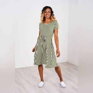 Latched Mama Striped Green Dress